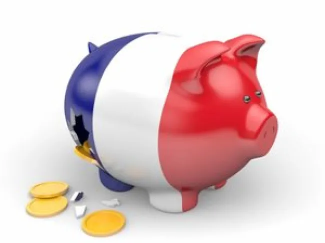 france pig